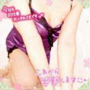 ヒメ日記 2025/11/12 16:40 投稿 えりの ふぞろいの人妻たち