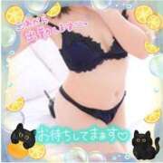 ヒメ日記 2026/01/25 16:50 投稿 えりの ふぞろいの人妻たち