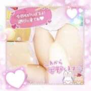 ヒメ日記 2026/03/08 16:30 投稿 えりの ふぞろいの人妻たち