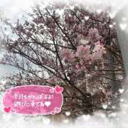 ヒメ日記 2026/03/20 16:40 投稿 えりの ふぞろいの人妻たち