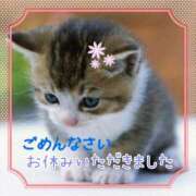 ヒメ日記 2026/04/16 18:00 投稿 えりの ふぞろいの人妻たち