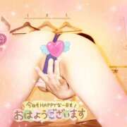 ヒメ日記 2026/09/28 09:06 投稿 えりの ふぞろいの人妻たち