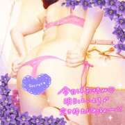 ヒメ日記 2026/10/15 15:41 投稿 えりの ふぞろいの人妻たち