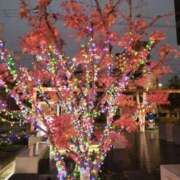 ヒメ日記 2025/02/08 08:29 投稿 しおん 熟女ばかり