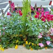 ヒメ日記 2025/03/01 08:34 投稿 しおん 熟女ばかり