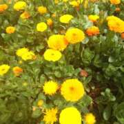 ヒメ日記 2025/03/04 08:30 投稿 しおん 熟女ばかり