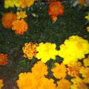 ヒメ日記 2025/06/22 05:14 投稿 しおん 熟女ばかり