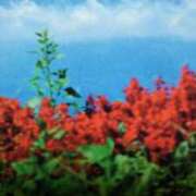 ヒメ日記 2025/07/02 10:29 投稿 しおん 熟女ばかり