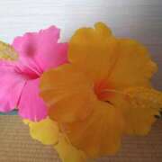 ヒメ日記 2025/08/23 07:46 投稿 しおん 熟女ばかり