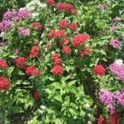 ヒメ日記 2025/10/15 09:33 投稿 しおん 熟女ばかり