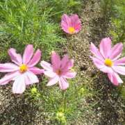 ヒメ日記 2025/11/04 07:09 投稿 しおん 熟女ばかり