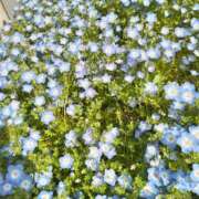 ヒメ日記 2026/01/31 08:18 投稿 しおん 熟女ばかり