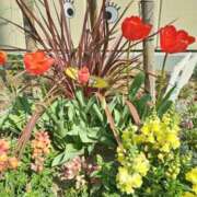 ヒメ日記 2026/02/28 08:13 投稿 しおん 熟女ばかり