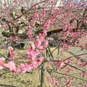 ヒメ日記 2026/03/07 08:01 投稿 しおん 熟女ばかり