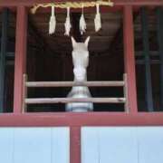 ヒメ日記 2026/06/20 07:53 投稿 しおん 熟女ばかり