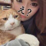 ヒメ日記 2025/01/27 21:11 投稿 チョコ MOMO(モモ)