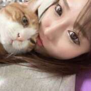 ヒメ日記 2025/02/17 12:18 投稿 チョコ MOMO(モモ)