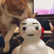 ヒメ日記 2025/03/02 21:33 投稿 チョコ MOMO(モモ)