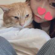 ヒメ日記 2025/05/04 13:11 投稿 チョコ MOMO(モモ)