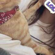 ヒメ日記 2025/05/15 13:56 投稿 チョコ MOMO(モモ)