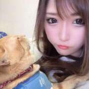 ヒメ日記 2025/06/05 13:02 投稿 チョコ MOMO(モモ)