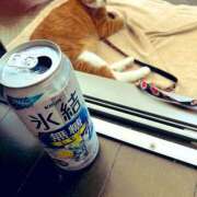 ヒメ日記 2025/06/17 14:16 投稿 チョコ MOMO(モモ)