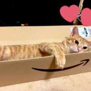 ヒメ日記 2025/06/21 18:35 投稿 チョコ MOMO(モモ)