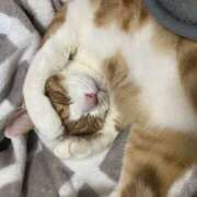 ヒメ日記 2025/12/26 20:34 投稿 チョコ MOMO(モモ)