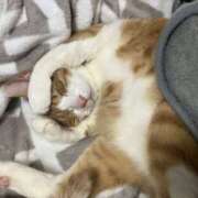 ヒメ日記 2026/01/22 11:36 投稿 チョコ MOMO(モモ)