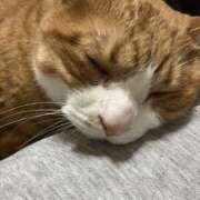 ヒメ日記 2026/01/23 21:16 投稿 チョコ MOMO(モモ)