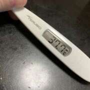 ヒメ日記 2026/03/29 18:09 投稿 チョコ MOMO(モモ)