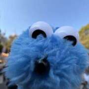 ヒメ日記 2026/04/11 12:09 投稿 チョコ MOMO(モモ)