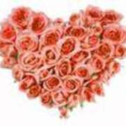 ヒメ日記 2025/02/10 18:35 投稿 なな バニラシュガー古河店