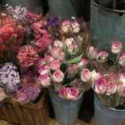 ヒメ日記 2025/12/27 03:35 投稿 なな バニラシュガー古河店