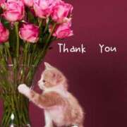 ヒメ日記 2025/05/24 01:38 投稿 清楚系熟妻　しずか 熟女＆人妻＆ぽっちゃり倶楽部