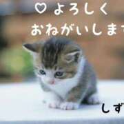 清楚系熟妻　しずか 出勤してます！ 熟女＆人妻＆ぽっちゃり倶楽部