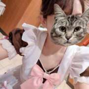 ヒメ日記 2025/08/12 20:16 投稿 月野るな メイドin西川口（埼玉ハレ系）