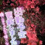 ヒメ日記 2025/04/15 18:20 投稿 じゅり マリアージュ熊谷