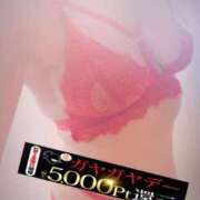 ヒメ日記 2026/04/10 09:48 投稿 あおば モアグループ南越谷人妻花壇