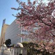 ヒメ日記 2025/02/28 18:11 投稿 マツバラ 東京★出張マッサージ委員会Z