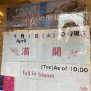 ヒメ日記 2025/04/01 14:09 投稿 マツバラ 東京★出張マッサージ委員会Z