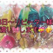 ヒメ日記 2024/02/16 23:11 投稿 こはる 秘書室（すすきの）