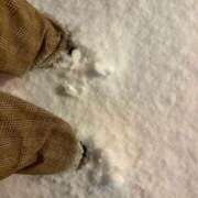 ヒメ日記 2025/02/01 02:17 投稿 こはる 秘書室（すすきの）