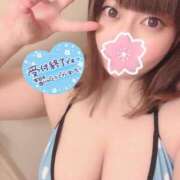 ヒメ日記 2025/02/08 16:17 投稿 こはる 秘書室（すすきの）