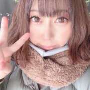 ヒメ日記 2025/02/13 18:17 投稿 こはる 秘書室（すすきの）