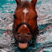 ヒメ日記 2025/02/22 07:28 投稿 こはる 秘書室（すすきの）