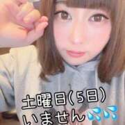 ヒメ日記 2025/04/05 02:31 投稿 こはる 秘書室（すすきの）