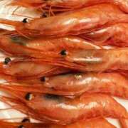 ヒメ日記 2025/04/17 07:28 投稿 こはる 秘書室（すすきの）