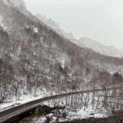 ヒメ日記 2025/04/17 21:29 投稿 こはる 秘書室（すすきの）