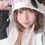 ヒメ日記 2025/04/19 11:28 投稿 こはる 秘書室（すすきの）